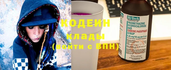 дурь Арсеньев