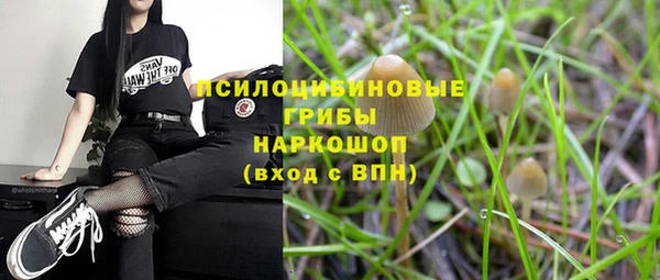 дурь Арсеньев