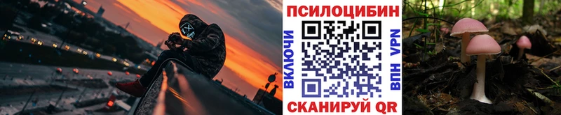 Псилоцибиновые грибы прущие грибы  Купить закладки  Железногорск-Илимский 
